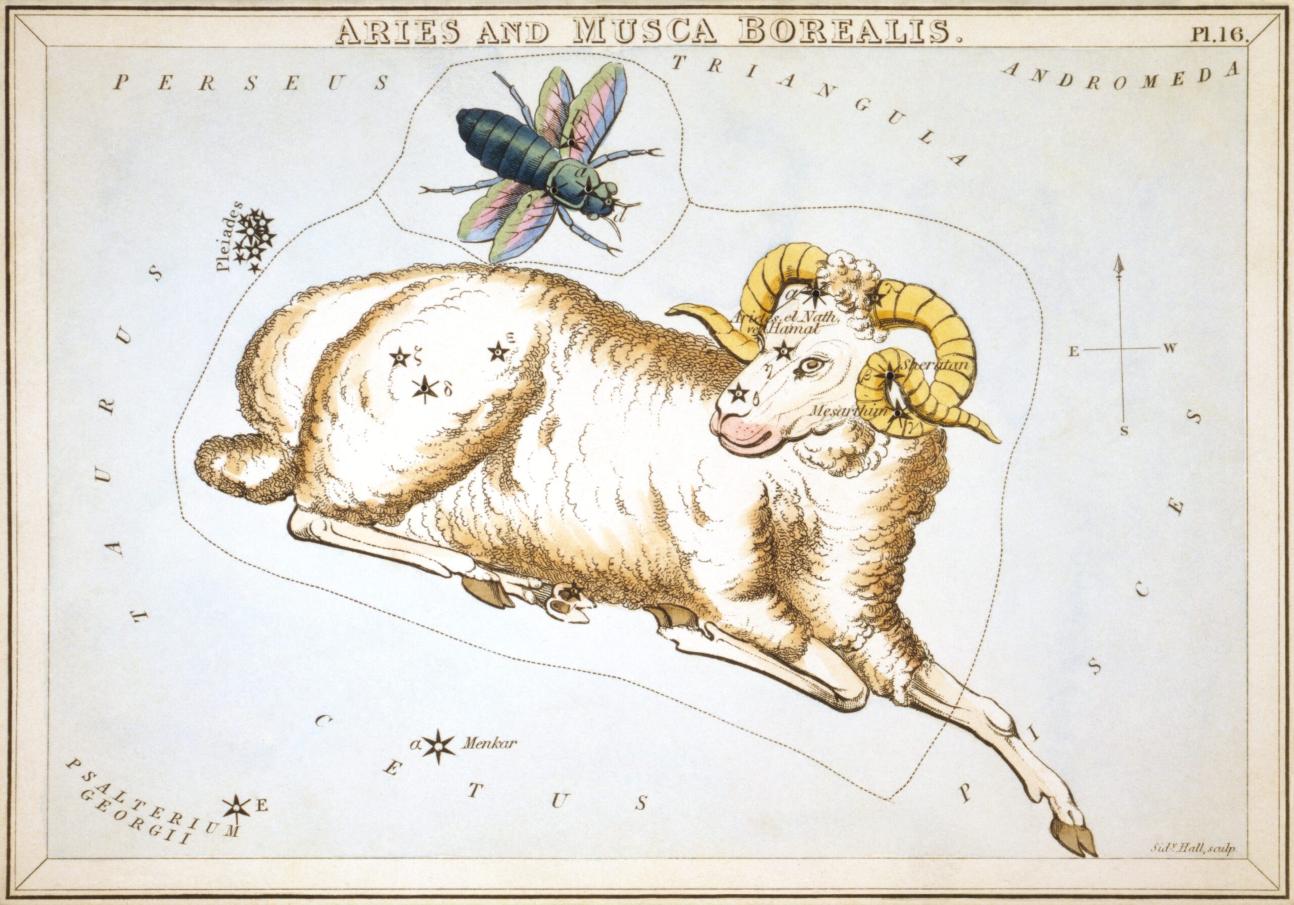 La costellazione dell'ariete, Sidney Hall, 1825, United State Library of Congress, Washington