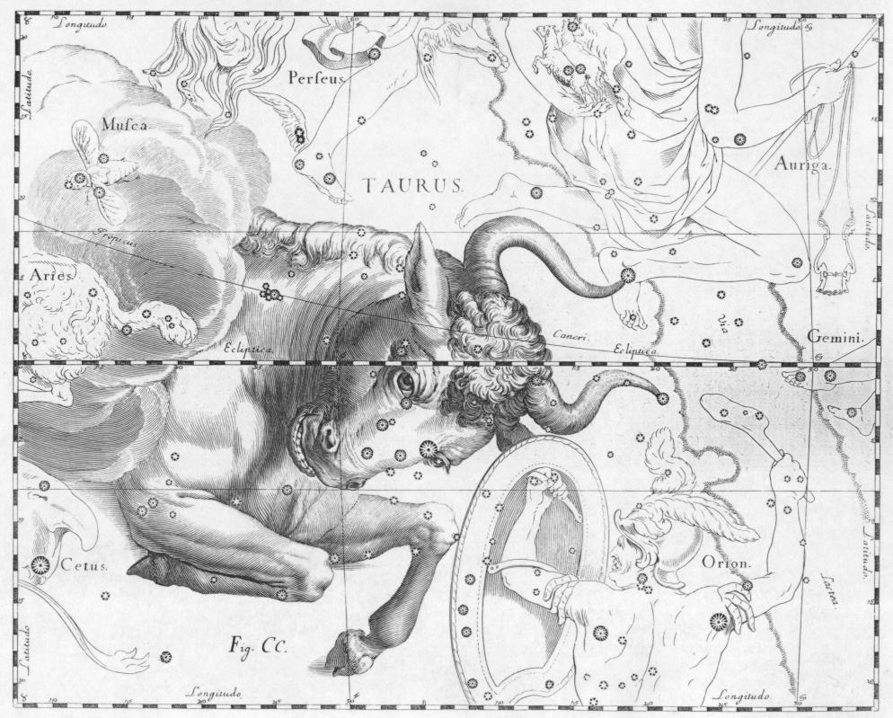 La costellazione del Toro illustrata da Hevelius, un astronomo polacco.