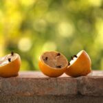 Immagine di un diffusore di oli essenziali con piante e ingredienti naturali per profumare la casa.