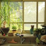 Cucina luminosa con piante aromatiche e candele profumate per un ambiente fresco e accogliente.