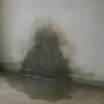 Acqua sui muri in casa: cause, diagnosi e soluzioni concrete