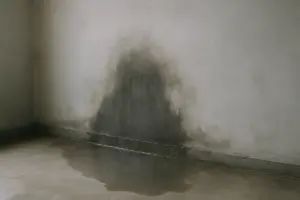 Acqua sui muri in casa: cause, diagnosi e soluzioni concrete